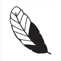 Feather