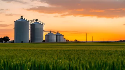 Tuinposter grain silos in the field in the green field with evening sunset © Borin