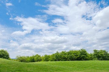 青空と芝生の広がる公園　丘陵