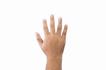 Close-up man's back of hand goodwill gesture. Open outstretched hand, showing five fingers, extended in greeting copy space isolated on white background. Space for text.