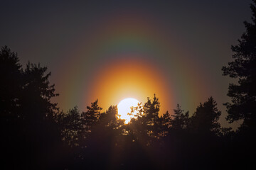 Colorful pollen corona glowing around the sun before the sunset. Amazing atmospheric phenomena.