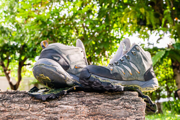 hiking shoes damaged on a log in the forest