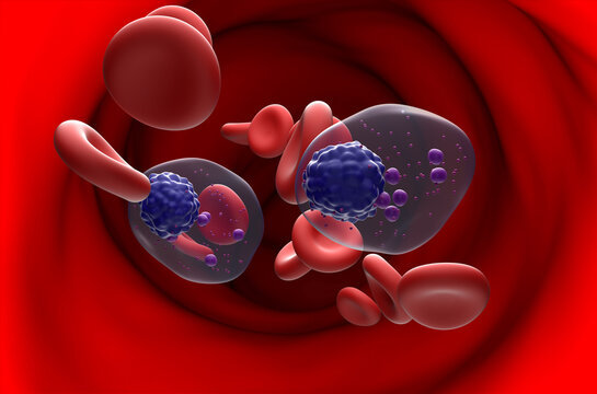 Multiple myeloma cells (MM) in blood flow - section view 3d illustration