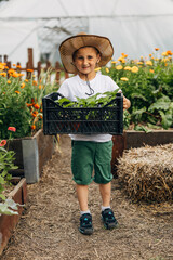 Front view of a Caucasian boy carrying crate with plants in the garden. © cherryandbees