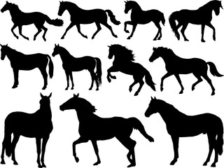 Set of Horses Silhouette