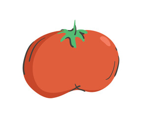 Hand drawn tomato isolated on a white background. Vector illustration. Colorful and minimalistic. For sticker and design.