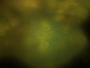 Imaginatory fractal abstract background Image