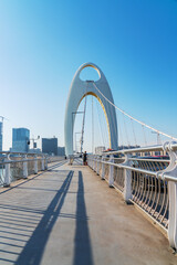 The Urban Skyline, Bridges, and Street Landscape of Guangzhou, China