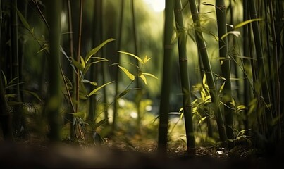 Tranquil bamboo trees in a serene forest setting with blurred background. Creating using generative AI tools