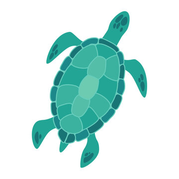 Vector illustration of a blue green sea ​​turtle isolated on background.