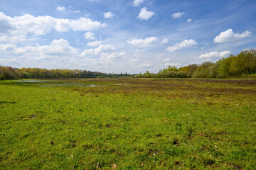 Photo of a green natural landscape on a sunny spring day with blue sky and white clouds.