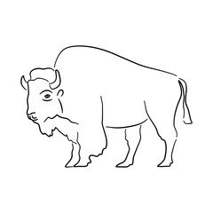 Hand drawn illustration of a Bison. Vector isolated on a white background.