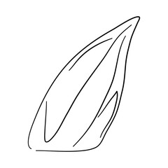 Sketchy black icon of Bamboo. Hand-drawn doodle style. Vector illustration.