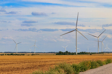 Fototapeta na wymiar Wind turbines in a field. Renewable energy