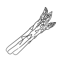 Asparagus doodle icon. Hand drawn black sketch. Vector Illustration.