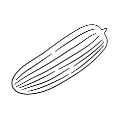 Cucumber doodle icon. Hand drawn black sketch. Vector Illustration.