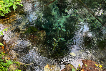 hot spring water in forest