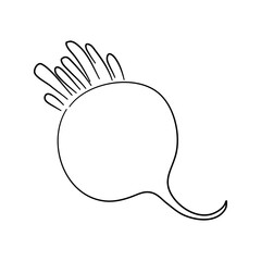 Radish doodle icon. Hand drawn black sketch. Vector Illustration.