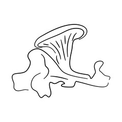Chanterelle doodle icon with a hand-drawn black sketch. Vector Illustration.