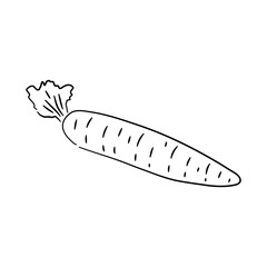 Carrot doodle icon. Hand drawn black sketch. Vector Illustration.