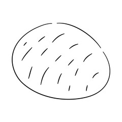 Potato doodle icon with a hand-drawn black sketch. Vector illustration.