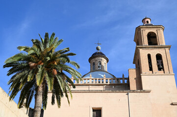 La cathédrale Saint-Nicolas-de-Bari avec un palmier