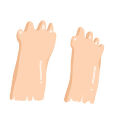 Hands isolated on white background