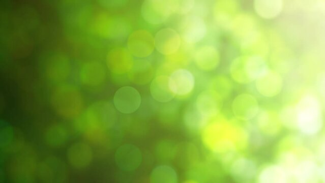 Loopable abstract background of a green natural bokeh