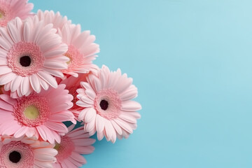 Pink gerbera flowers on a blue surface. Generative AI. Copy space, place for text, copyspace.