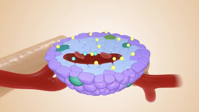 Healthy Insulin Production 3D rendering