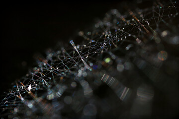 Spider web graphic symbolizing a network. Selective focus, surreal look. Isolated on black. Close...