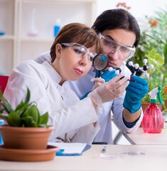 Two young botanist working in the lab