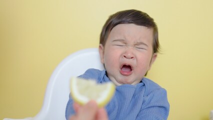 A child tastes a piece of lemon, wrinkles and makes a grimace 