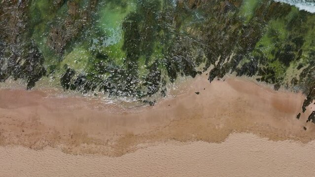 South Africa most stunning white sand beach epic surf wave rugged reef coastline aerial drone cinematic JBAY Jeffreys Bay WSL Corona Open Supers Boneyard summer morning green clear sea upward movement