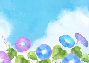 アサガオと入道雲の水彩背景素材