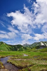 北アルプス 立山連峰　夏景色