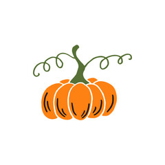 Pumpkin. Thanksgiving and Halloween Elements. Hand drawn vector illustration.