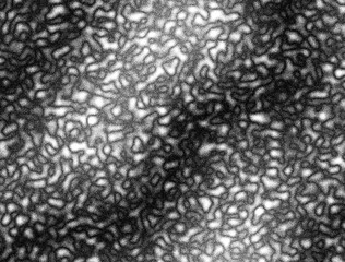 Black and white texture background with grunge noise