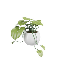 House Plant 3D Illustration Pack