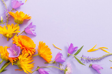 summer flowers  on violet paper background