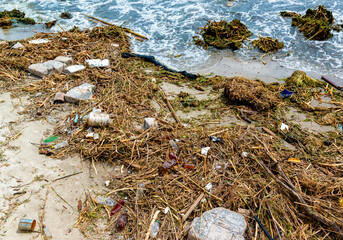 Consequences of the Accident at the Kakhovka power plant, pollution of the beaches of Odessa with garbage and plant remains brought by water