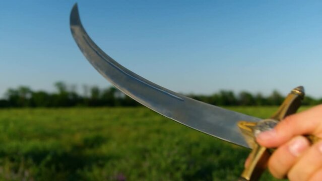 Close-up of a male person's hand holding a Ukrainian Cossack saber against a green field.