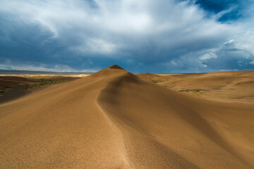 Fototapeta na wymiar Govi Desert after heavy rain