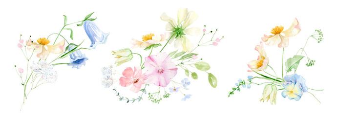 Summer wild grass, watercolor wild flowers isolated on white background, cute  tiny gentle flowers, watercolor wild flowers and leaves, flowers in tea cup, summer wedding and greeting illustration