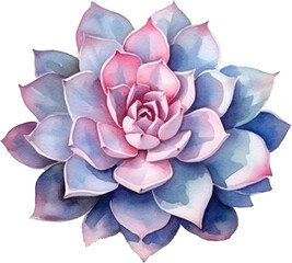 Succulent Watercolor Illustration.Generative AI