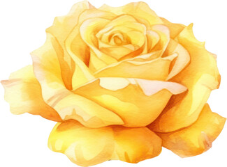 Yellow Rose Flower Watercolor.Generative AI
