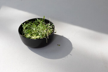 Home gardening. Cut micro greens, peas, sunflower, cilantro in a black plate on grey background....