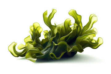 Fucus Algae On White Background. Generative AI - obrazy, fototapety, plakaty