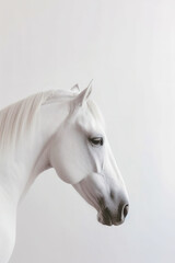 White horse portrait on light background poster. Head and neck of white horse in profile. Generative Ai.