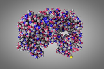 Structure of Herceptin Fab without antigen. Space-filling molecular model on gray background. Rendering based on protein data bank entry 6mh2. Scientific background. 3d illustration